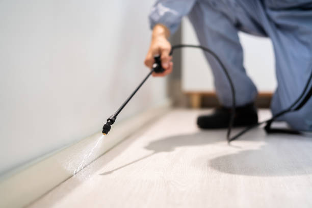Licensed Cockroach Control service in Fairlawn, VA - Nex Pest Control