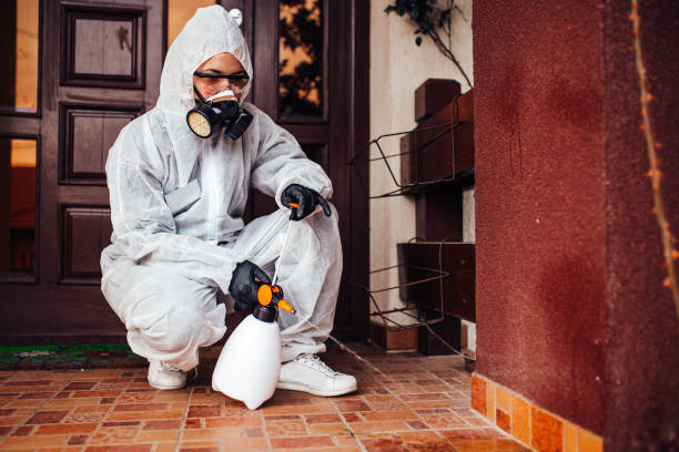 Reliable Cockroach Control contractor in Fairlawn, VA by Nex Pest Control